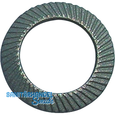 SCHNORR Sicherungsscheibe "S" M 6 Federstahl mechanisch verzinkt SCHNORR Sicherungsscheibe "S" M 6 Federstahl mechanisch verzinkt