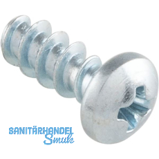 PT-Schraube Halbrundkopf WN1412 KA25 2,5x 5 Ph-KS - verzinkt-blau