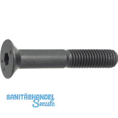 ISO10642 010.9 M10x 20 blank Senkschraube mit Innensechskant (~DIN7991)