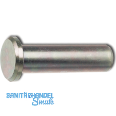 DIN1436 20x60x52 H11 verzinkt Bolzen mit grossem Kopf und Splintloch DIN1436 20x60x52 H11 verzinkt Bolzen mit grossem Kopf und Splintloch