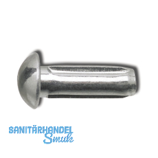 DIN1476 2x 5 verzinkt Halbrundkerbnagel