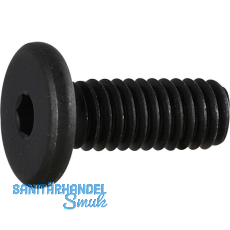 Zylinderschraube mit extrem niedrigem Kopf M 6x 16 G�te 10.9