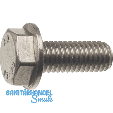 DIN6921 8.8 M16x 40 verzinkt-blau Sechskantschraube mit Flansch (EN1665) DIN6921 8.8 M16x 40 verzinkt-blau Sechskantschraube mit Flansch (EN1665)