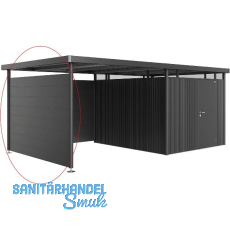 BIOHORT Seitendach-Seitenwand HighLine H5 dunkelgrau-metallic