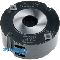 GUHDO Wendeplatten Falzkopf HM 125/30/30 mm