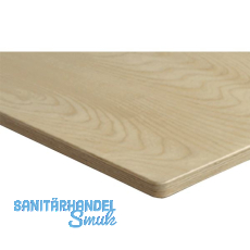 BARTH Arbeitsplatte 1.245 x 745 BARTH Arbeitsplatte 1.245 x 745