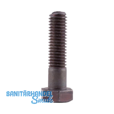 GRAULE Schraube M 10x30 mm links zu ZS 135 GRAULE Schraube M 10x30 mm links zu ZS 135