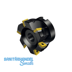 SANDVIK Plan- und Eckfr�ser 490-080Q27-08M