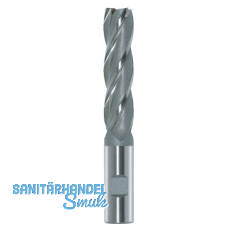 MAYKESTAG Schaftfräser HSS-ECo8 6,0 mm DIN 844 L lang zentrumschneidend MAYKESTAG Schaftfräser HSS-ECo8 6,0 mm DIN 844 L lang zentrumschneidend