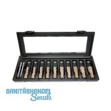 ALFRA Metallkernbohrer-Set HSS -Co ECO 10-teilig Schnitttiefe 30 mm ALFRA Metallkernbohrer-Set HSS -Co ECO 10-teilig Schnitttiefe 30 mm