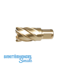 ALFRA Metallkernbohrer – HSS-Co-Eco mit Weldon-Schaft 19 mm DM=20 mm ST=30 mm ALFRA Metallkernbohrer – HSS-Co-Eco mit Weldon-Schaft 19 mm DM=20 mm ST=30 mm