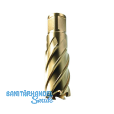 ALFRA Metallkernbohrer � HSS-Co-Eco mit Weldon-Schaft 19 mm DM=17 mm ST=50 mm