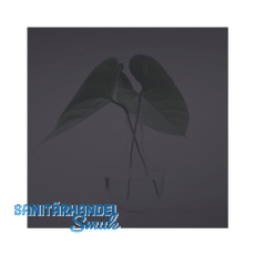 SOLIDO Glasmuster BlackDark 100x150 mm