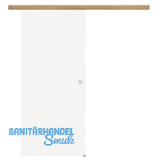 Glasschiebet�r Set Satiniert 920x2100mm, Inlay CPL Risseiche Muschelgriff silber