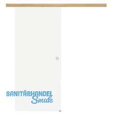 Glasschiebet�r Set Satiniert, 820x2100mm, Inlay CPL Eiche Muschelgriff silber