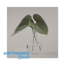 SOLIDO Glasmuster BlackShine 210x297 mm