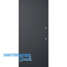 SOLIDO Glasschiebet�r BlackDark, mit Sto�griff Bohrung 920x2100