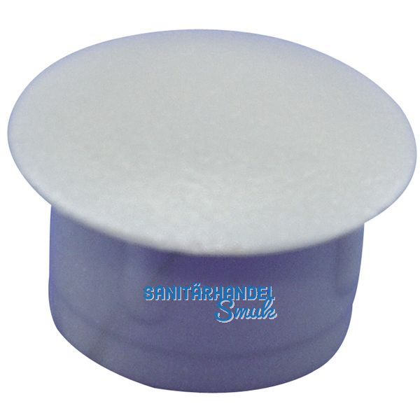 Abdeckkappe fr Blindlcher, Auen 13, Schaft 10, Kunststoff silber RAL 9006