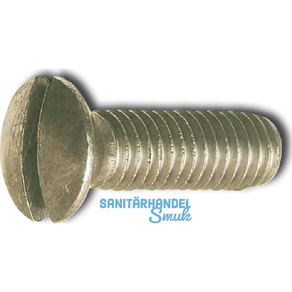 DIN 964A M 4X 80 Messing vernickelt Linsenschraube