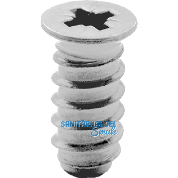 BLUM Systemschraube Senkkopf 6,0x20 mm, PH, Stahl vern.