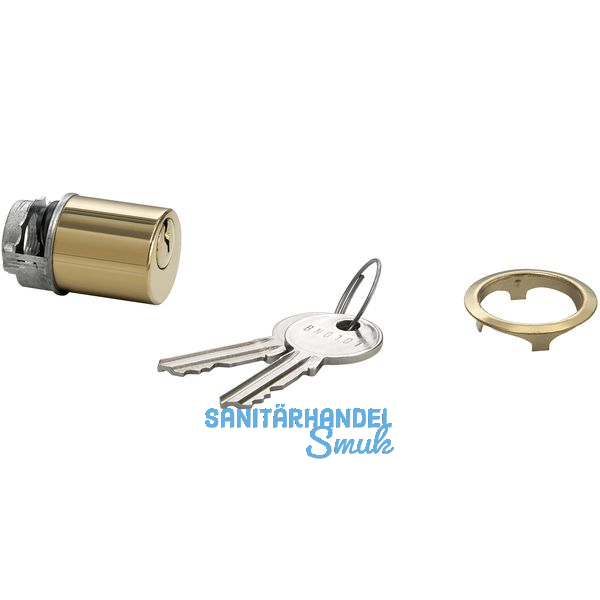 JuNie 7638 ASS Schlieeinsatz Zylinder verschiedensperrend, Messing poliert