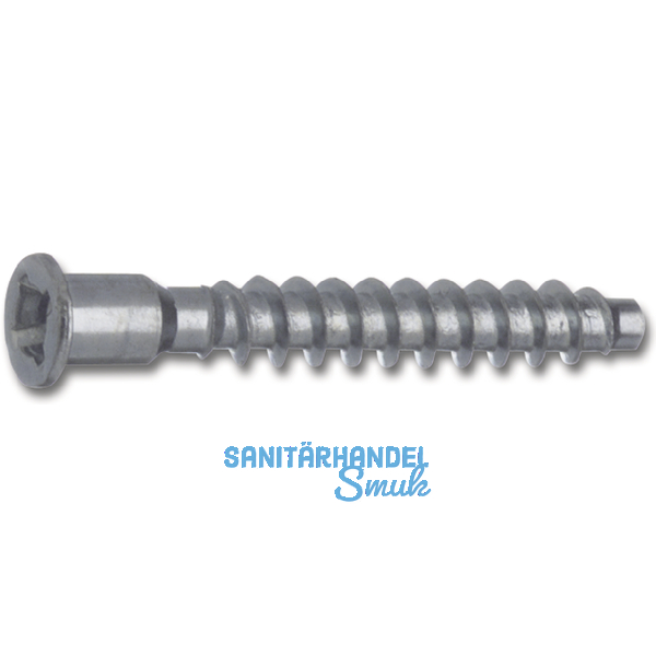 Verbindungsschraube, Innensechsk.4 mm u.Kreuzschl., L 50, 7, FE verzinkt