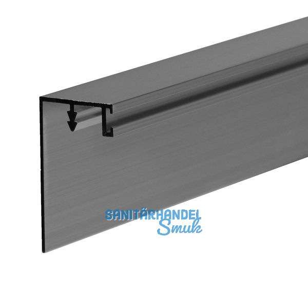 Gegen - Griffleiste zum Einnuten, L - 2600, Aluminium silber eloxiert