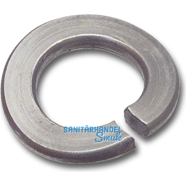 DIN 128A M10 Edelstahl A1 1.4310 Federring gewlbt
