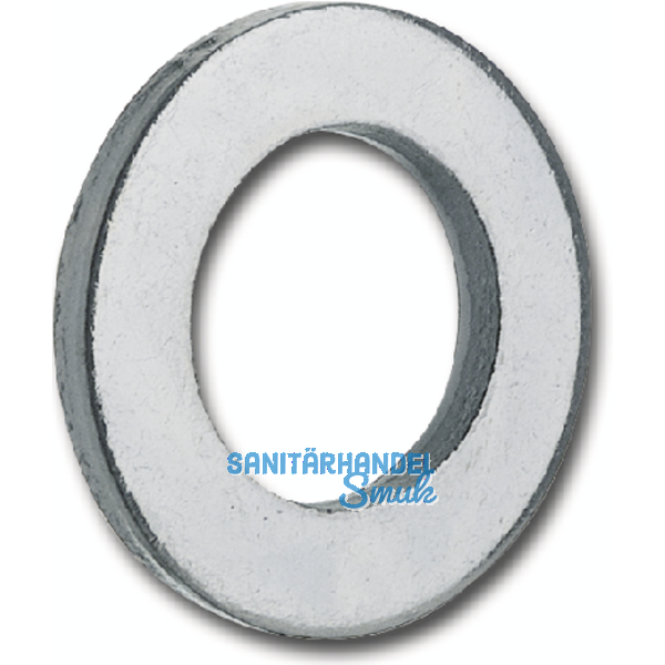 DIN1440 Dm 60 verzinkt Scheibe fr Bolzen