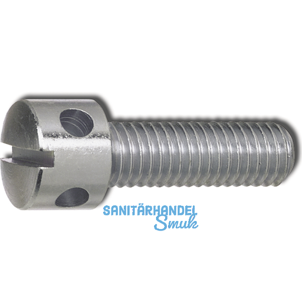 DIN 404 M 4x 10 verzinkt Kreuzlochschraube mit Schlitz