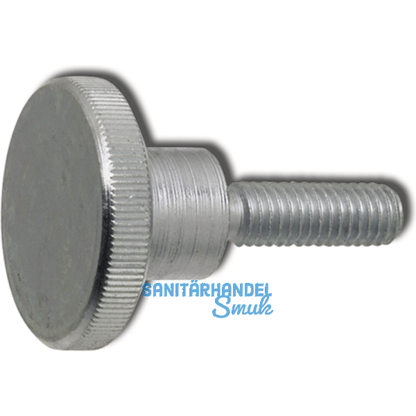 DIN 464 M 6x 10 verzinkt Rndelschraube hohe Form