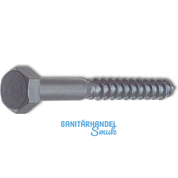 DIN 571 12x300 verzinkt Gestellschraube (Schlsselschraube)