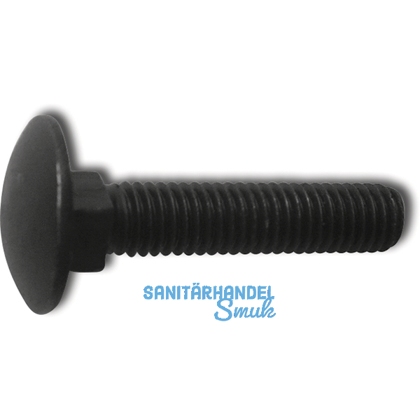 DIN 603 4.6 M10x 25 blank Torbandschraube ohne Mutter