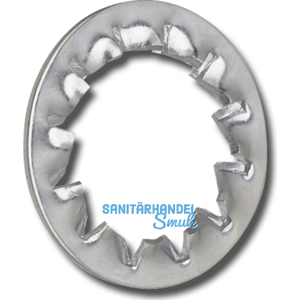 DIN6798I M 6 Edelstahl A2 Fcherscheibe innengezahnt