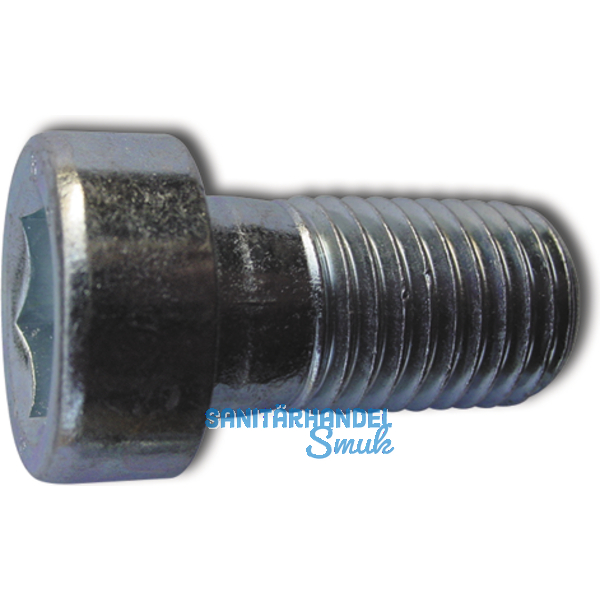 DIN6912 10.9 M 6x 12 blank Zylinderschraube mit niedrigem Kopf und Innensechskt.