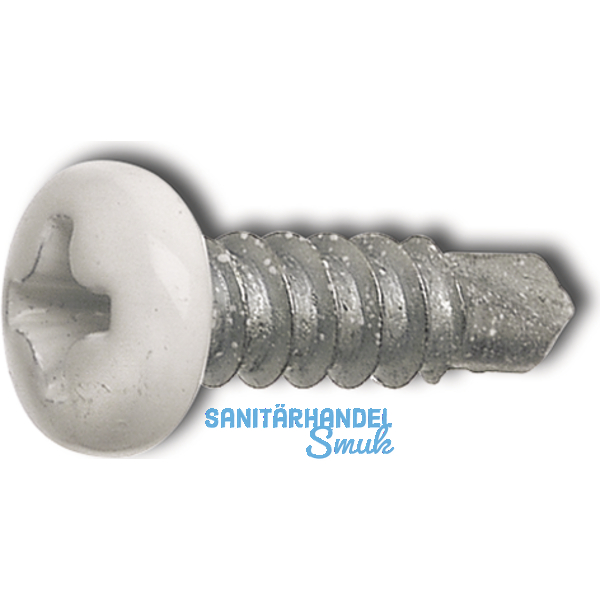 DIN7504M 3.9x 16 Phillips-KS Kopf RAL9010 wei beschichtet ~ISO15481