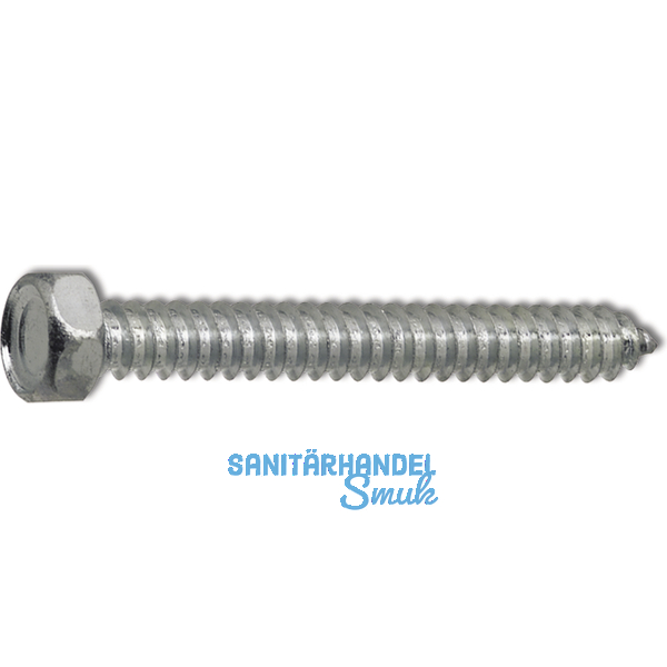 DIN7976C 5.5x 19 verzinkt Sechskantkopf-Blechschraube ~ISO1479
