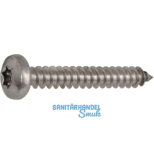 DIN7981C 5.5x 90 Torx25 verzinkt Linsen-Blechschraube ~ISO14585