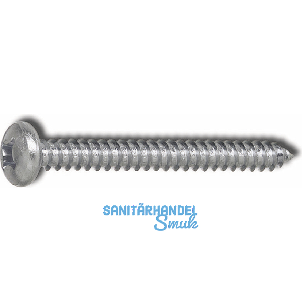 DIN7981C 6.3x100 PH-Kreuzschlitz verzinkt Linsen-Blechschraube ~ISO7049
