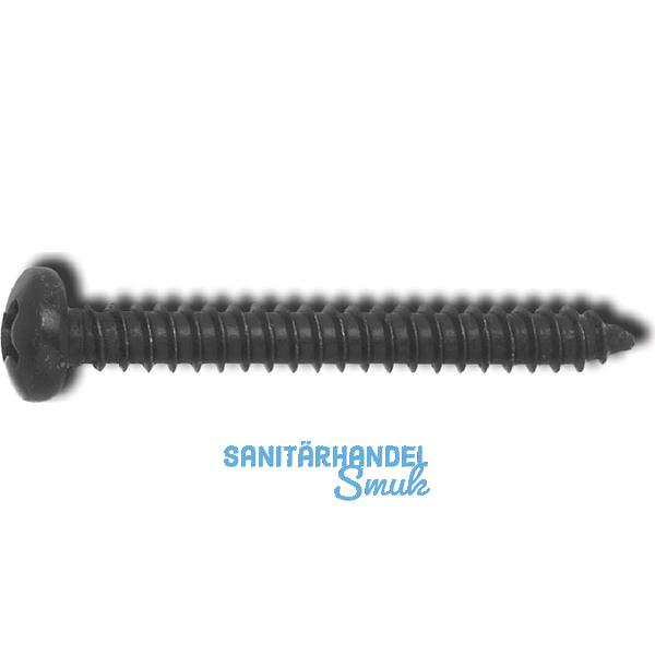 DIN7981C 3.9x 13 PH-Kreuzschlitz verzinkt schwarz Linsen-Blechschraube ~ISO7049
