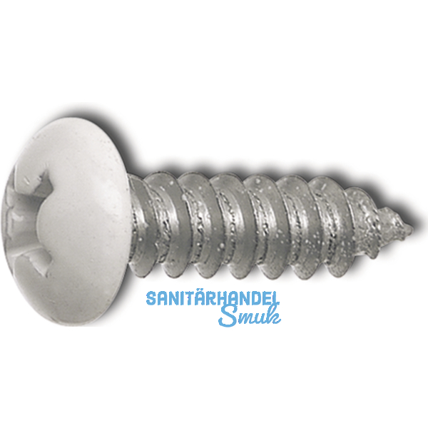 DIN7981C 5.5x 16 PH-Kreuzschlitz Kopf RAL7037 staubgrau beschichtet ~ISO7049