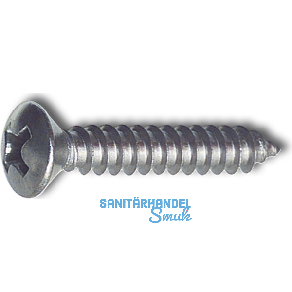 DIN7983C 4.2x 38 Phillips-KS Edelstahl A2 Linsensenkkopf-Blechschraube ~ISO7051