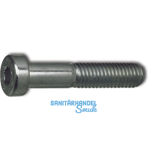 DIN7984 10.9 M 6x 12 blank Zylinderschraube mit niedrigem Kopf und Innensechskt.