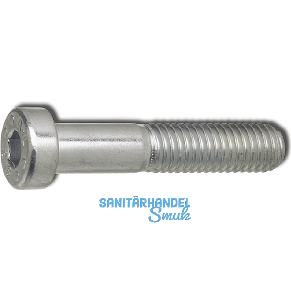 DIN7984 M 5x 20 Edelstahl A2 Zylinderschraube mit niedrigem Kopf u. Innensechskt
