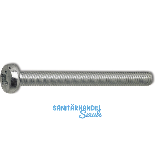 ~ISO7045 4.8 M 5x 25 Phillips Kreuzschlitz verzinkt Linsenschraube (DIN7985A)