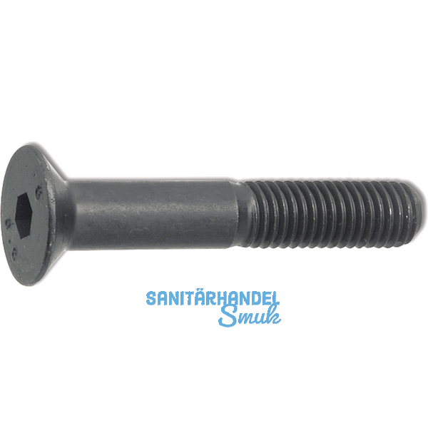 ISO10642 10.9 M 6x 12 blank Senkschraube mit Innensechskant (~DIN7991)