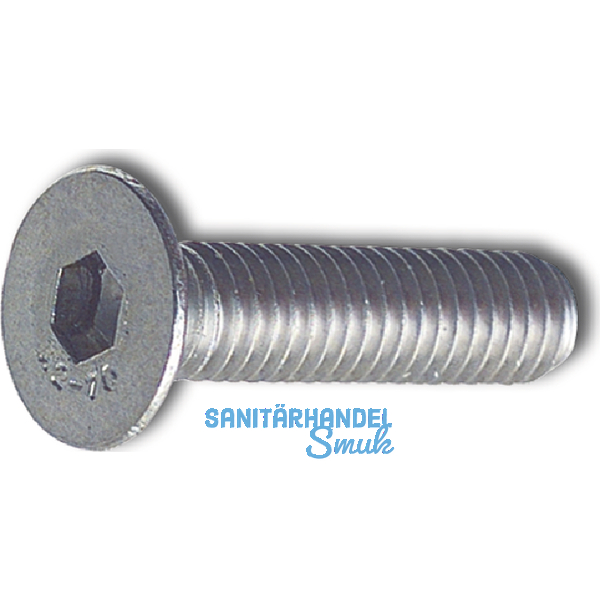 ISO10642 M 5x 6 Edelstahl A2 Senkschraube mit Innensechskant (~DIN7991)