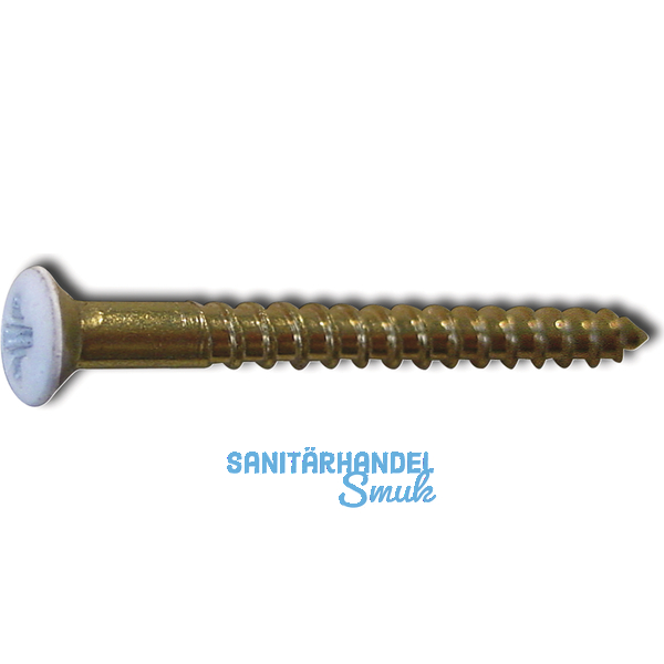 DIN7995 3.0x30 Pozidriv 1 Messing Kopf RAL 9016 wei beschichtet Holzschraube
