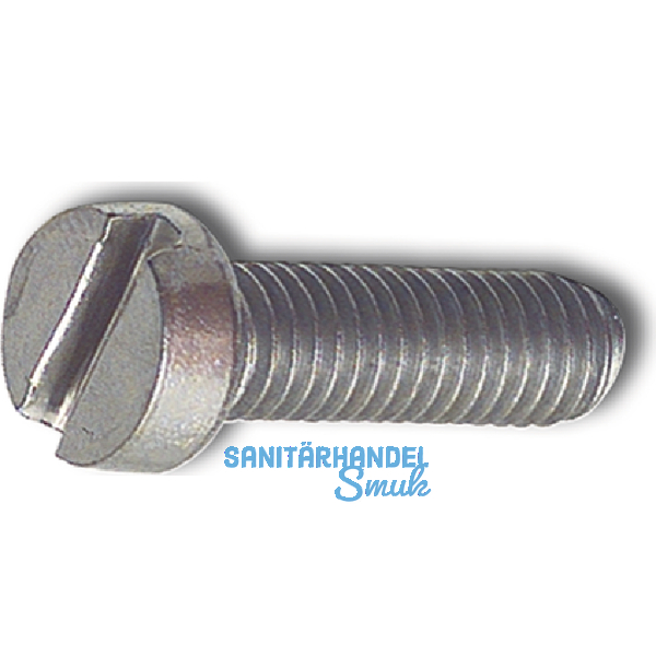 ~ISO1207 M 4x 30 Edelstahl A2 Zylinderschraube mit Schlitz (DIN 84A)