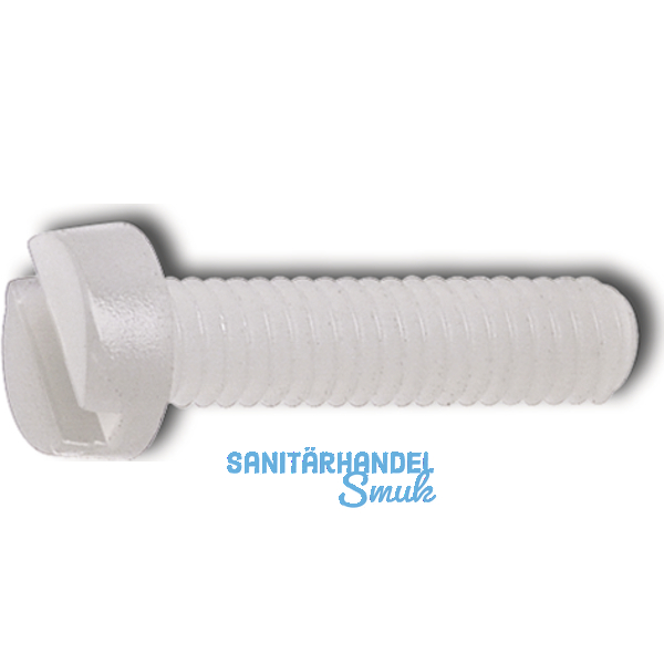 ~ISO1207 M 5x 30 PA 6.6 Polyamid natur Zylinderschraube mit Schlitz (~DIN 84A)